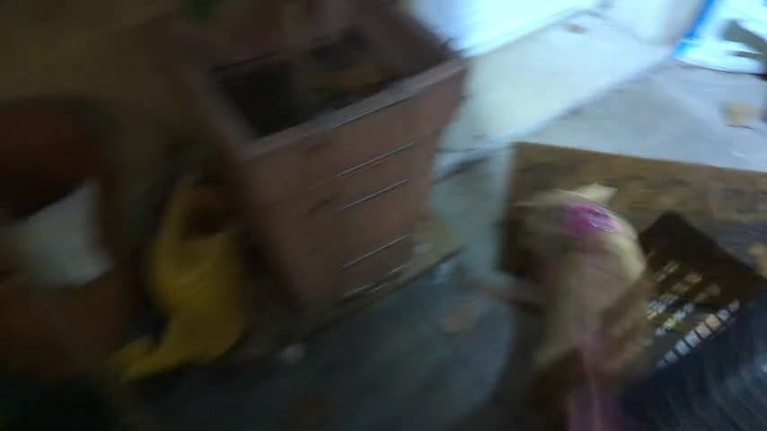 2022-12-02 (2) - Leboncoin revient à 1 € - Twitch Meutemediatique