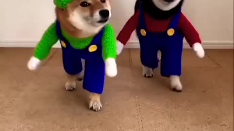 cute🍒🍒