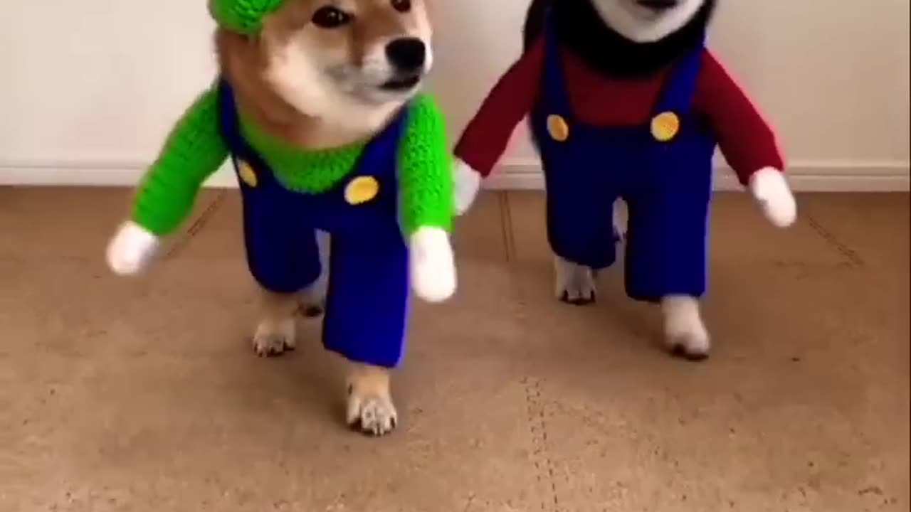 cute๐๐