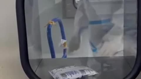 China: Food while quarantine