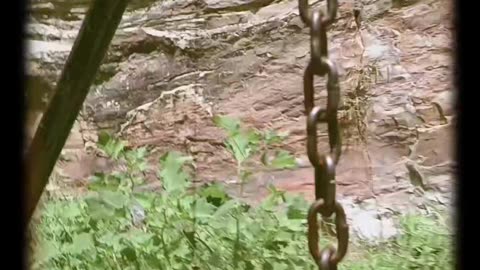 Alopi mahadev