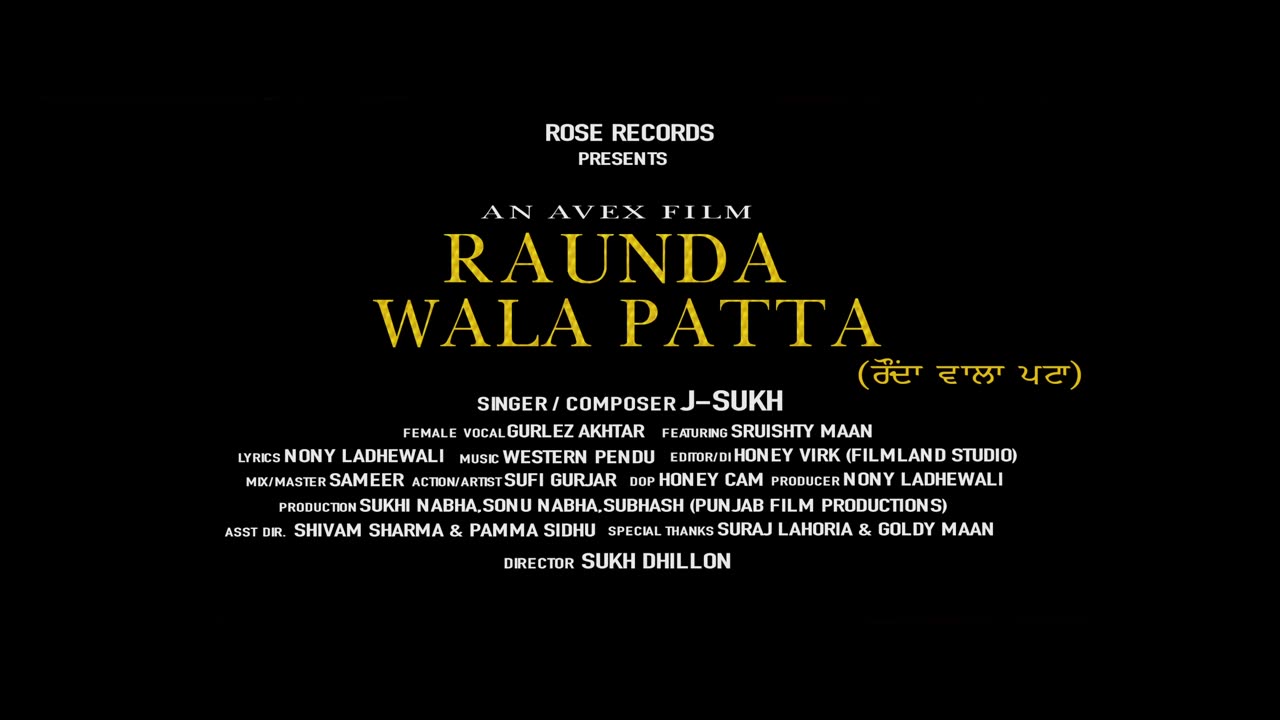 🎶🎶''Punjabi Beats RAUNDA WALA PATTA🔥 A Musical Journey of Love and Life