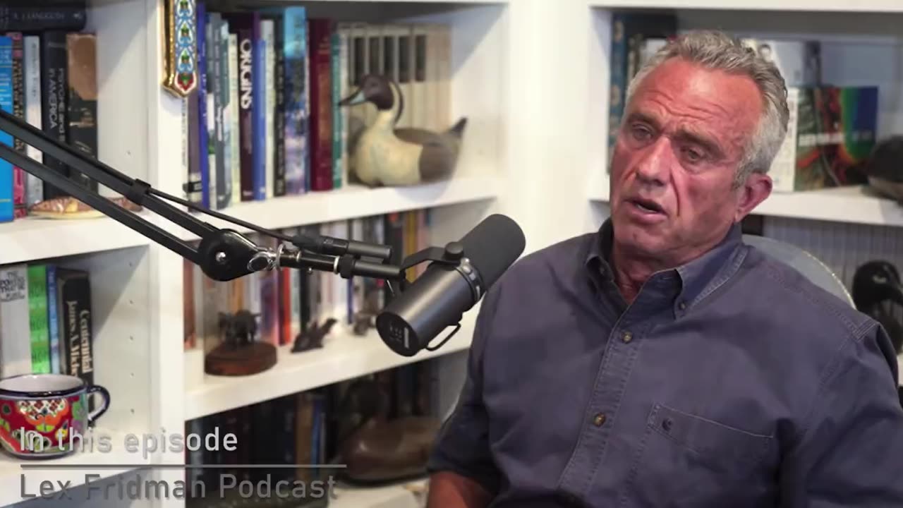 Robert Kennedy Jr on Putin and Russia