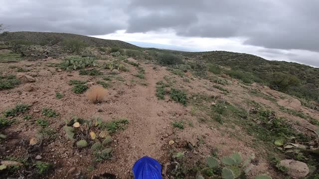 Webb Loop-Backwards-Up Hill-Both Ways-In the Rain