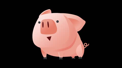 animal animation piggy mg simple flat style