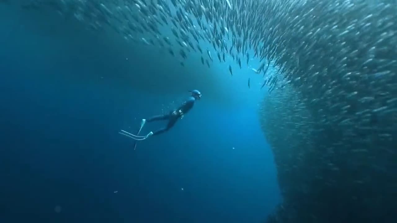 Extreme Sport | Diving below deep water with tons of fish