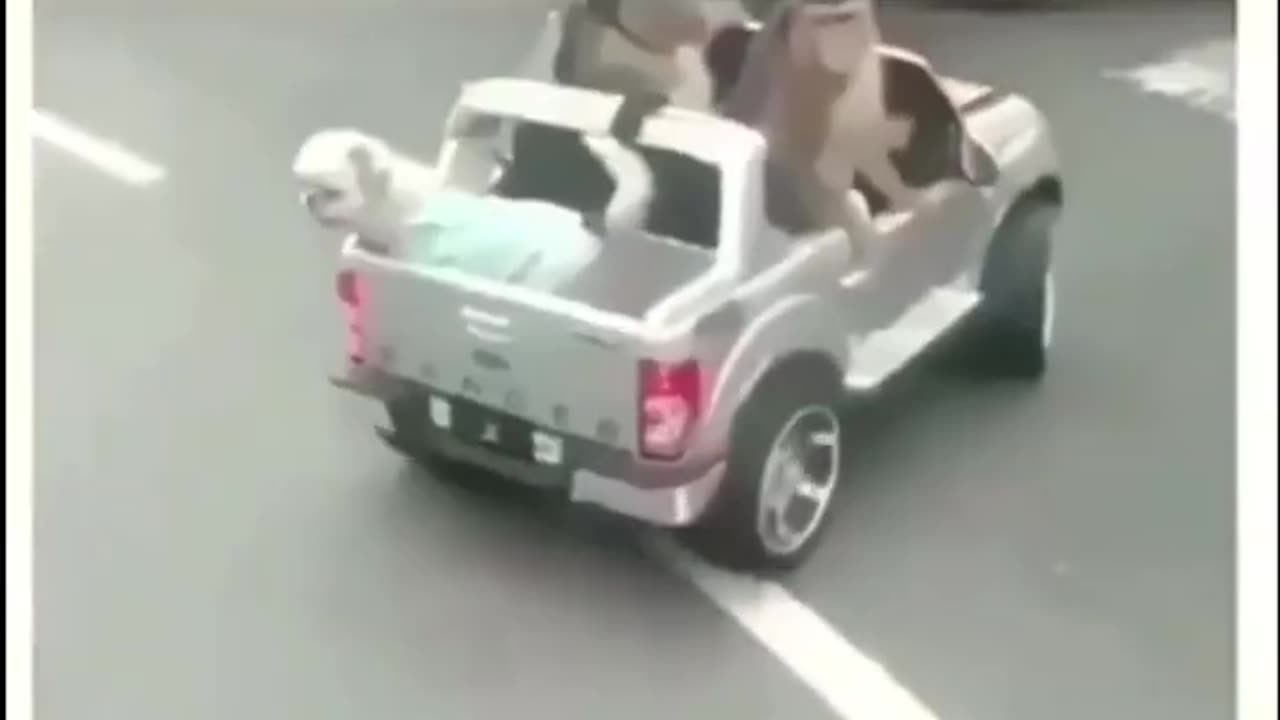 best memes compilation #9