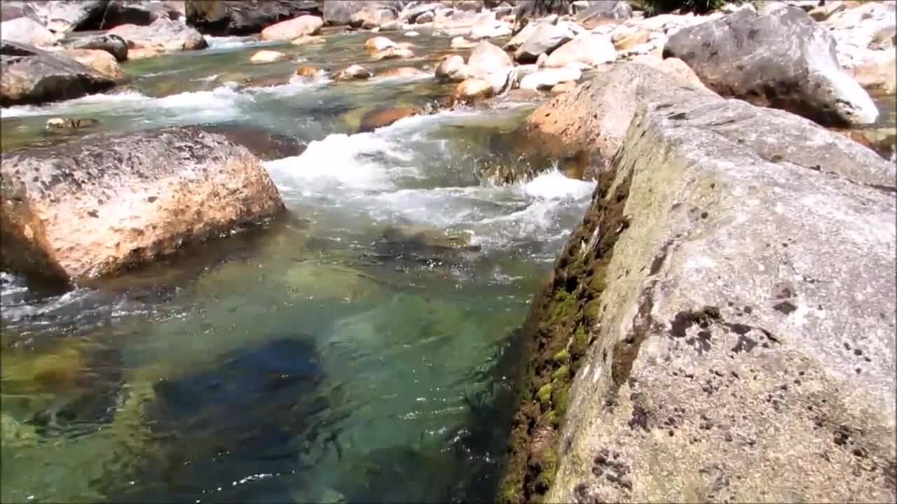 2015 Golden Ears Day Hike to lower falls - 2