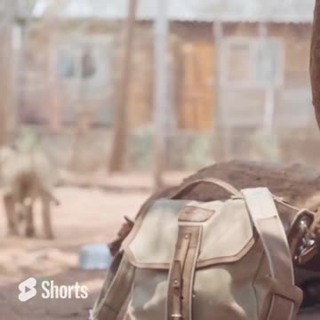 The Mountainback re-design is almost ready. What do you think of this new color combination?