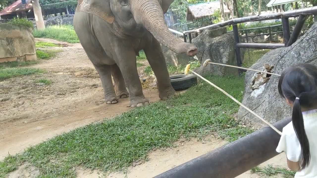 ChiangMai zoo 2022