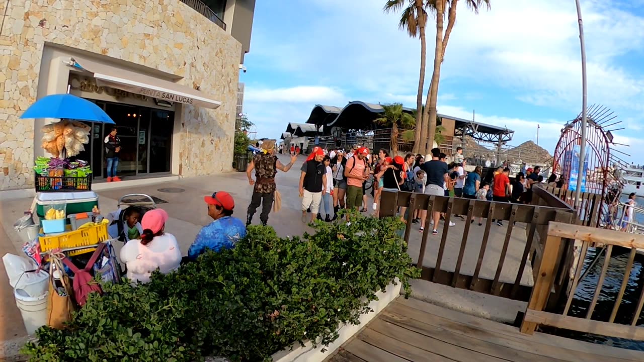 Cabo San Lucas Harbor en Vivo