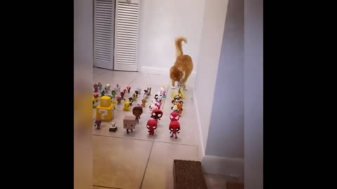 🐱Cats VS. Obstacles challenge🐱