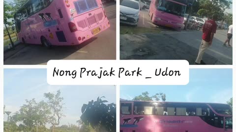 The Big Pink Bus _ Nong Prajak Park _ Saturday Morning in Udon Thani Thailand #pinkbus #shorts