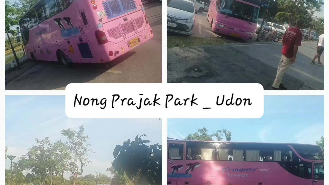 The Big Pink Bus _ Nong Prajak Park _ Saturday Morning in Udon Thani Thailand #pinkbus #shorts