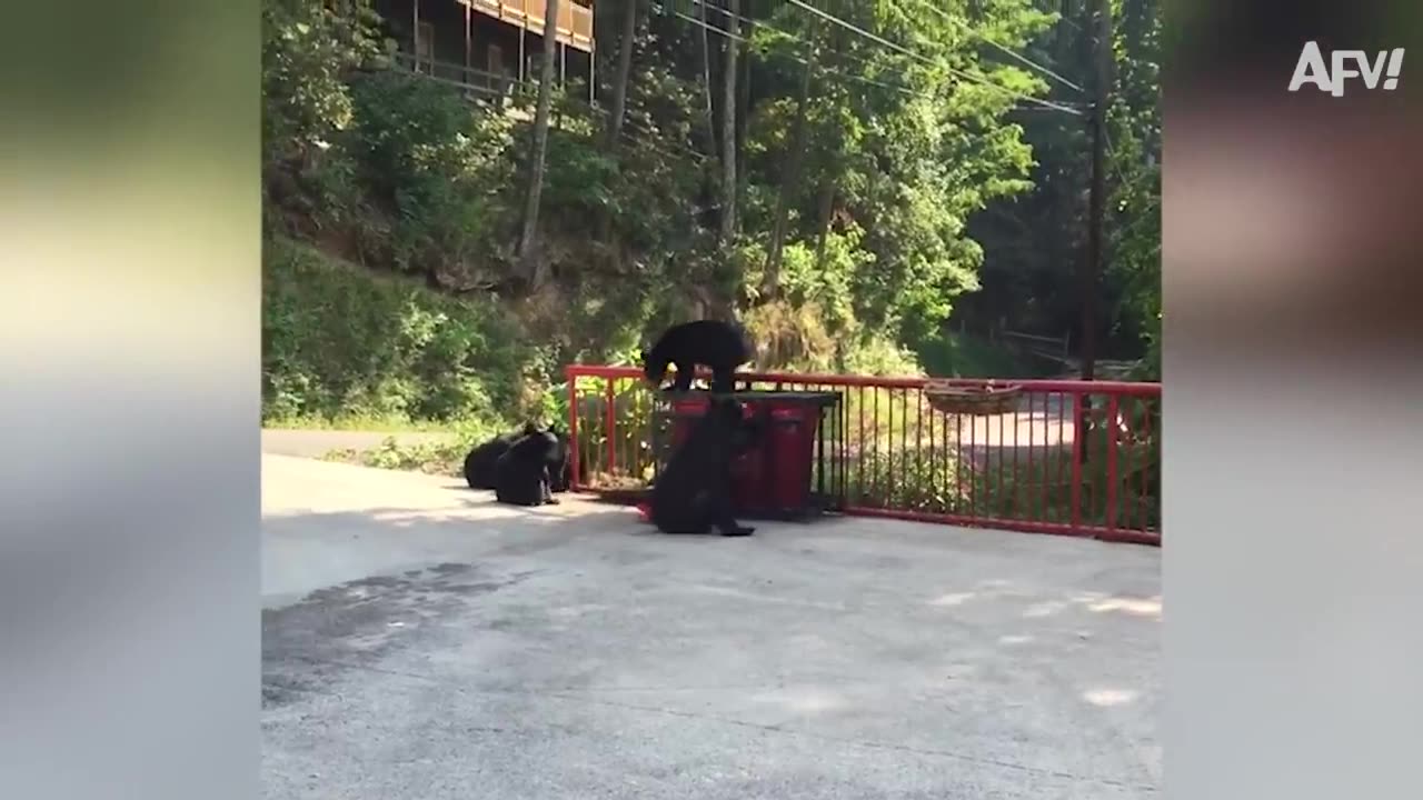 Dwon slides the fail 😂😅2023