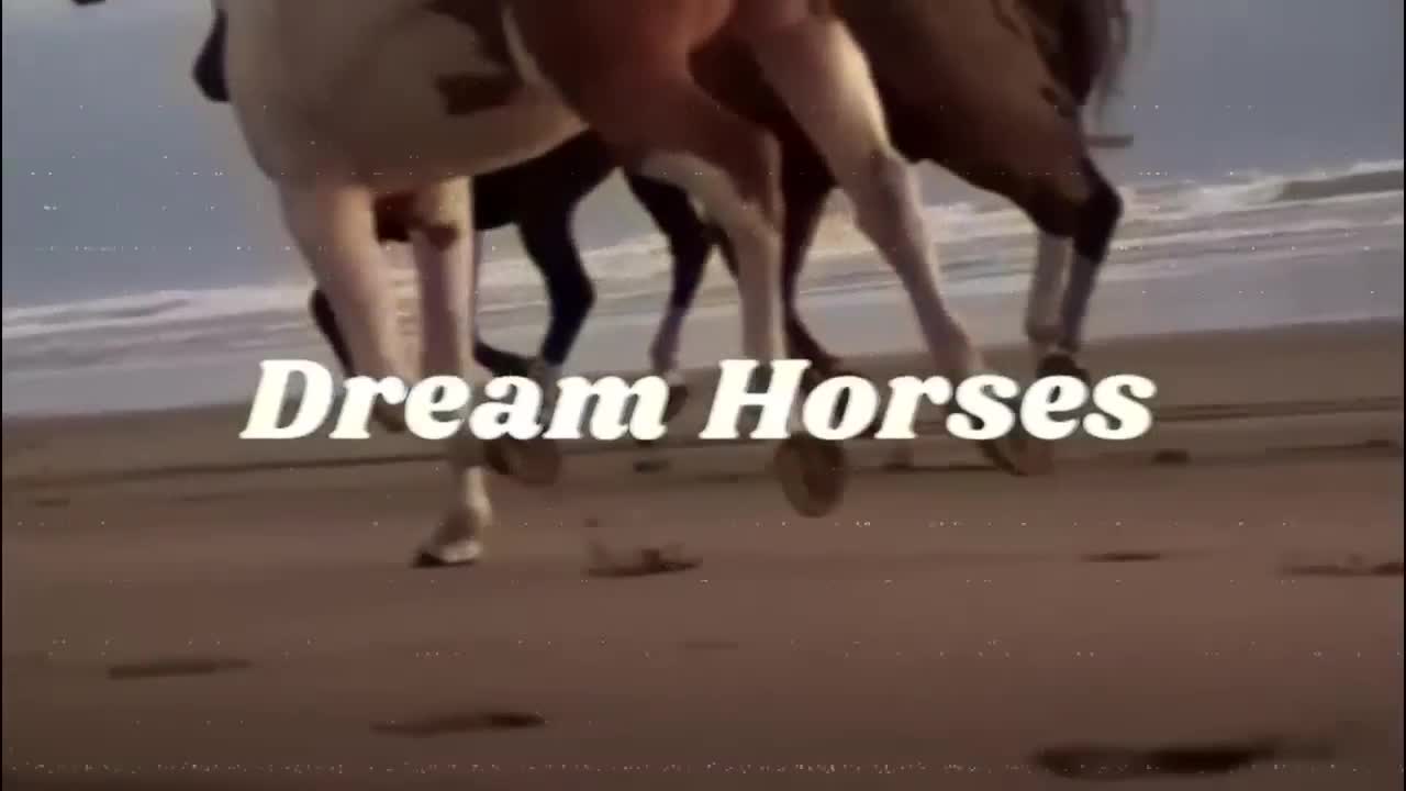 Horse TikToks That Went Viral!