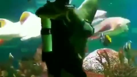 Man Dancing With Shark