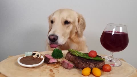 My Dog Eating Show Steak& Wine Asparagus Mukbang