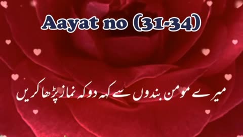 ALL QURAN