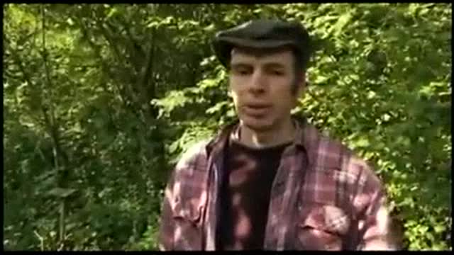 未來的農場 farm of future