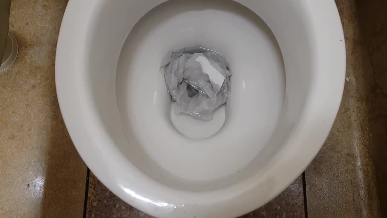 Lecico Atlas toilet in AB block Neath College Neath