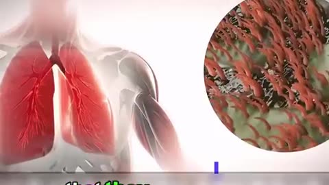 Human body is a complex biological machine...