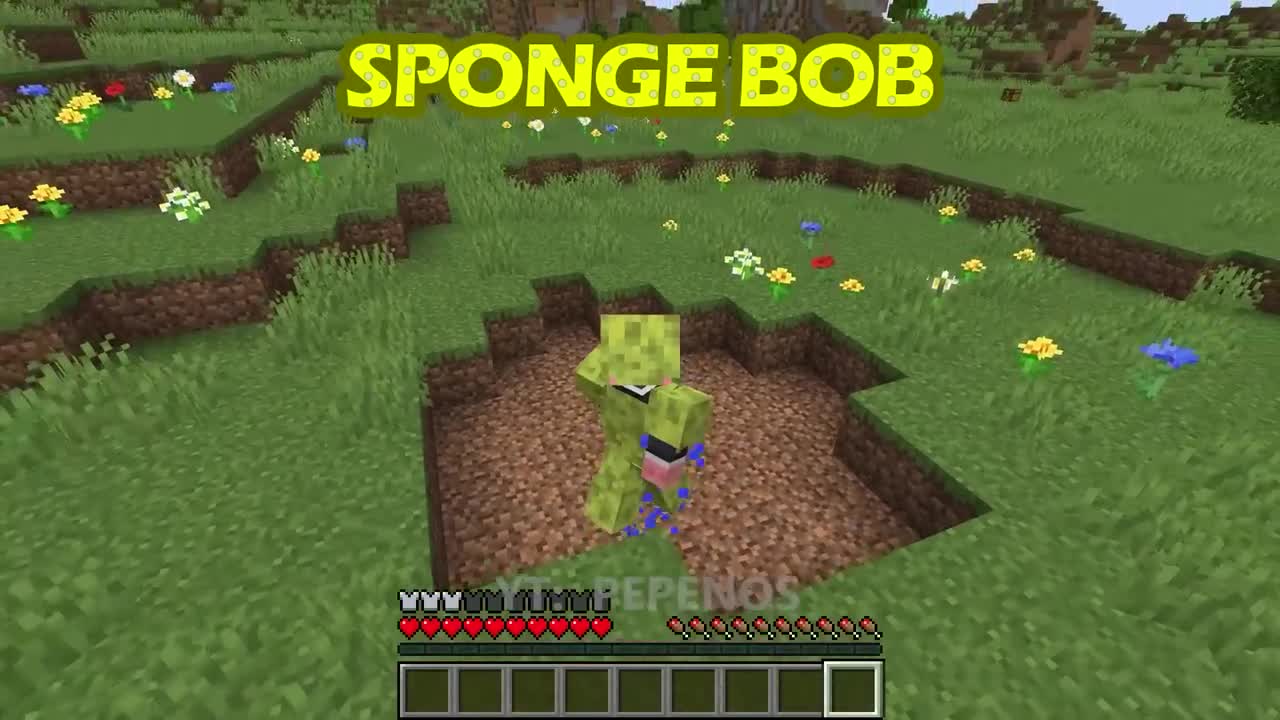 Armor for different players in minecraft