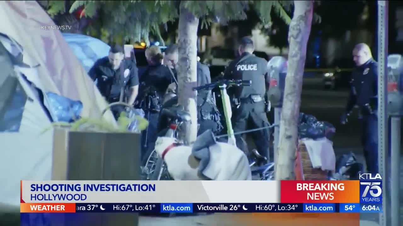 Man fatally shot in Hollywood