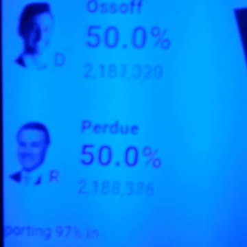 INTERNATIONAL WIDE ELECTION FRAUD VOTING MACHINE CRIME, GEORGIA RUNOFF SHAM ELECTION CRIME 234