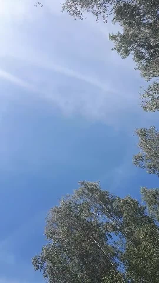 Himmel in Berlin am 17. Juni 2022 um 13:24 Uhr