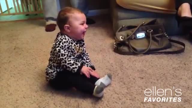 Try not to laugh