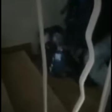 WARNING 21+ Ukrainian soldier executes Russian POW [UKRAINIAN BESTIALITY]
