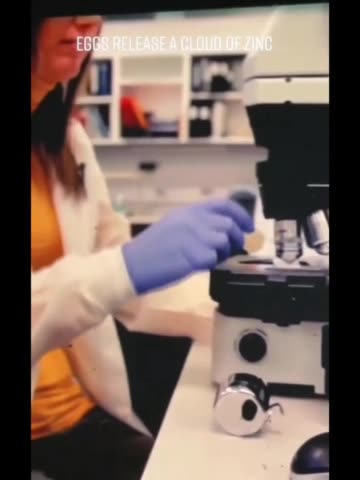 Iskra życia: Kobiety są jedynymi istotami, które mogą prowadzić, sterować ...