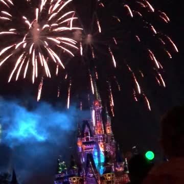 Disney World Fireworks 4