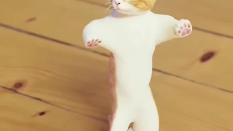 Funny Cat Dance and enjoy him self