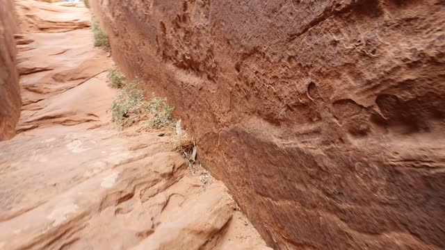 Red Rock Adventure