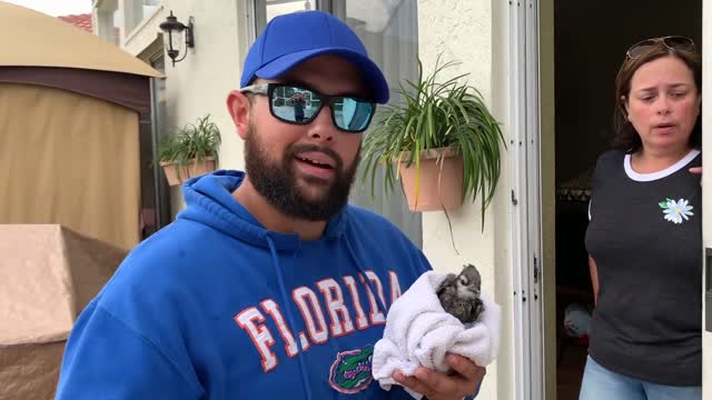 SAVING A BABY BIRD FROM DROWNING IN MY POND!
