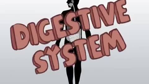 Digestive System | How The Digestive System Works | Animated Music Video |