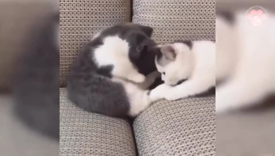 I am lovely, no one can match