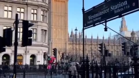 London beauty