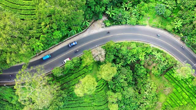 Top View of Vehicles Traveling on a Curvy Road