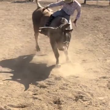 India ka behtareen Khel