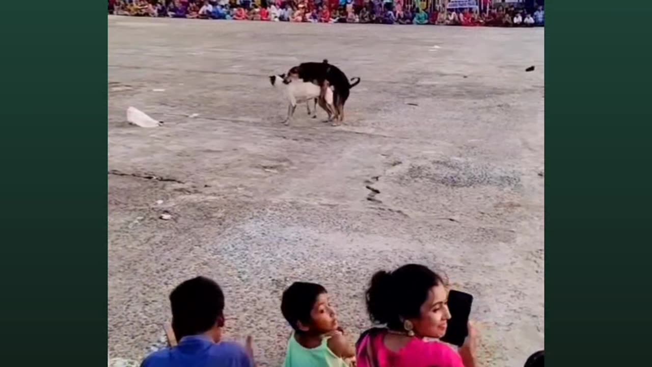 Xxxxxxx video animal and girl 🧒