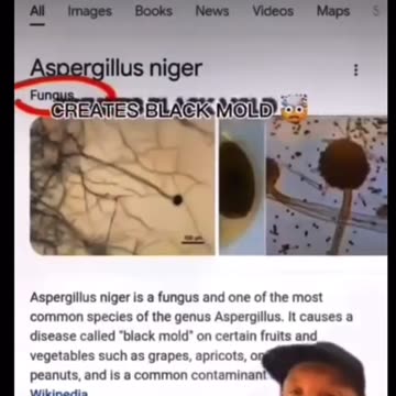 Citric Acid FOOD ADDITIVE