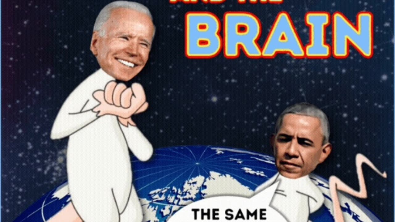 Pinko and the Brain - Destroy America