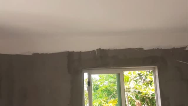 CEILING SKIMMED