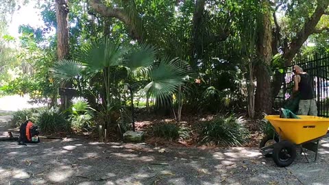 landscaping