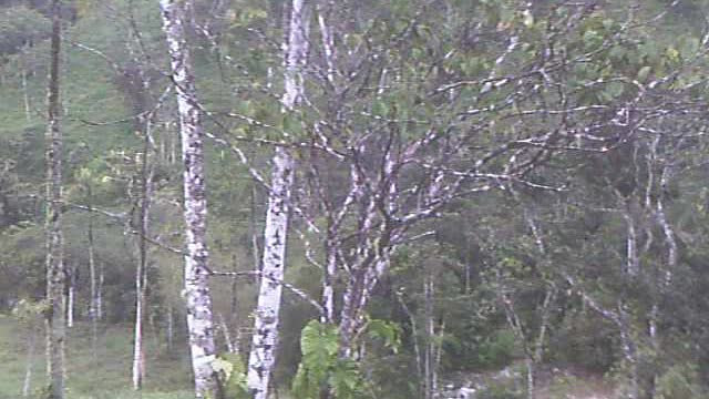 Cabin with ancient grinding stone where 3 rivers meet