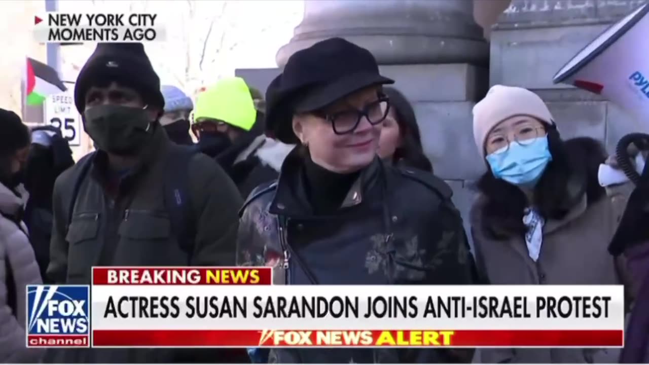 Actress, Susan Sarandon joins Anti- Israel protest again