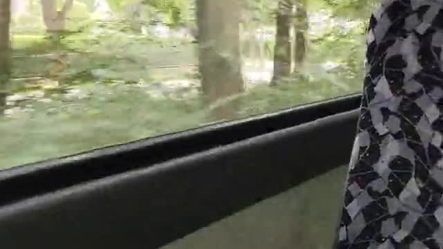 Straßenbahn Strausberg Linie 89 durch den Wald bis Landhausstraße